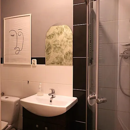 Kamienica Srodmiescie 17a 公寓 *